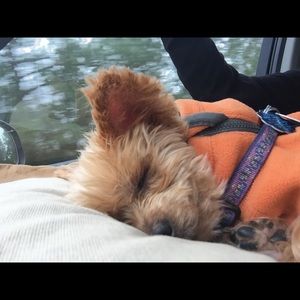 Meet your Posher, Janet